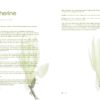 KATHERINE Deep Moisturizing + Nourishing + Revitalizing + Brightening - Image 4