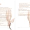 KOIOS - Skin Health Essence - Image 2